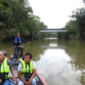 Travesía río Guineo, observación de aves.